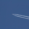 どこの飛行機？