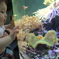 初めての水族館