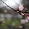 DSC03390