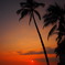 Sunset of Waikiki