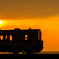 夕陽海岸 I