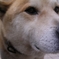 DSCN2293