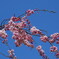 青い空