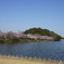 DSC01153