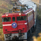2015.03.30 今朝の8009ﾚ：３月最後の津軽海峡線