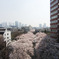 神田川　大東橋上空3