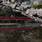 岩槻城址公園　桜と八つ橋