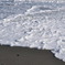 初海