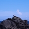 海･鳥