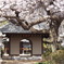 近所のお寺