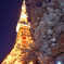 SAKURA tower