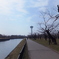 花見は4月下旬頃？「函館・五稜郭公園」