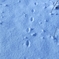 RIMG7295