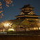 夜桜・清洲城