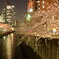 目黒川