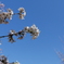 2015.03.31 青空