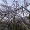 霞間ケ渓公園