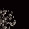 夜桜