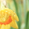 恵みの雨