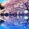 最後の春