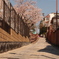 坂道