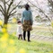 春が来たよ