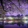 大宮公園