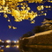 夜の城