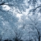 ３月の雪の日