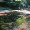 あの時の夏の思い出