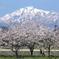 伯耆大山の春