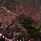 ISO25600の世界