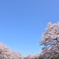 青とピンク