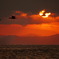 夕景
