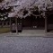 春詣で