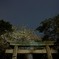 みあげてみれば