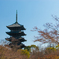 教王護国寺
