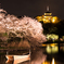 2015三渓園ライトアップ