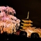 花と塔