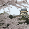 国宝の春