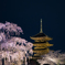 幽女不二桜
