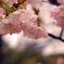 Come spring !