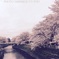 桜日和