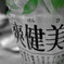 爽健美