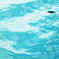 海