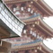 高幡不動尊