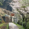 サクラ降る駅