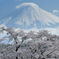 週末の富士山41