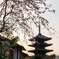 京都スナップ１