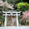 山田神社